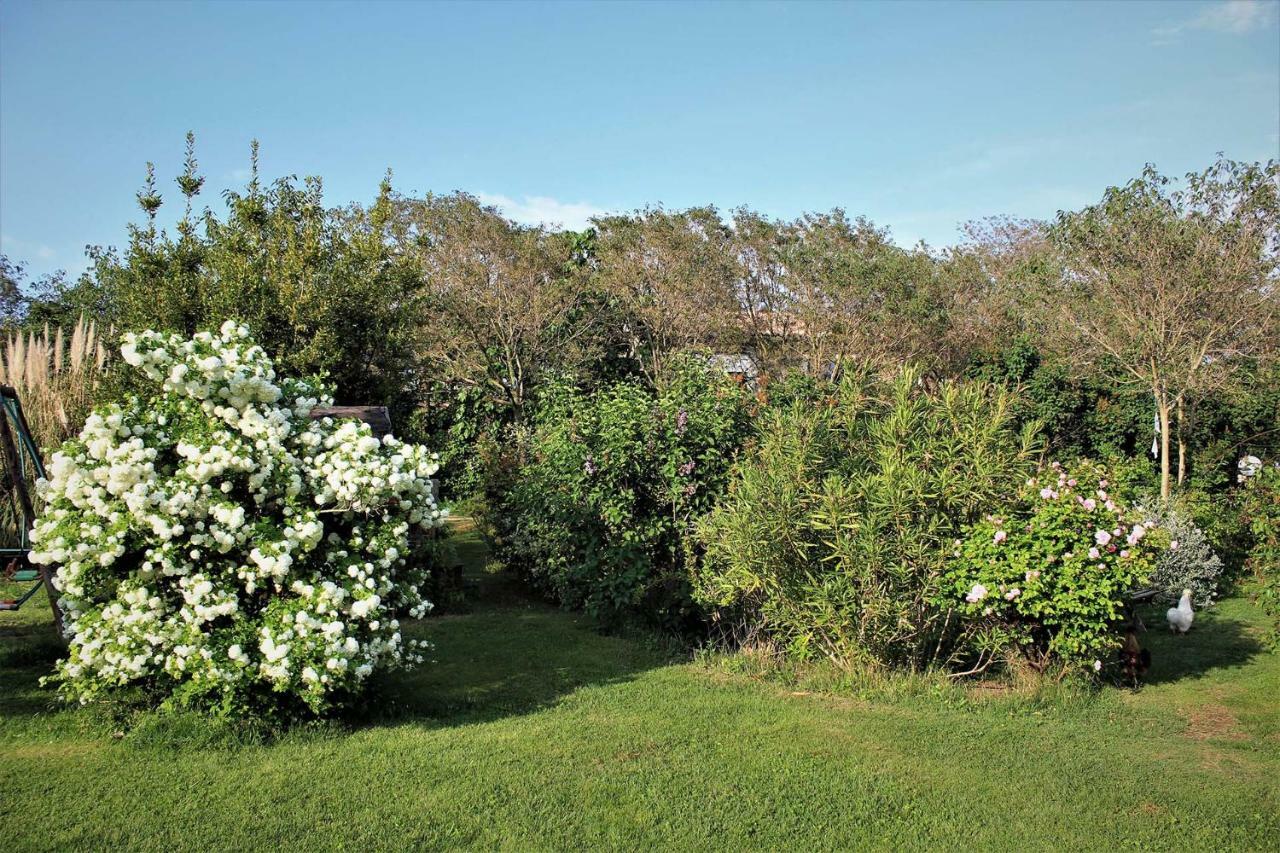 Gites Le Pimayon Manosque Exterior foto